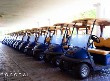Cocotal Golf Carts